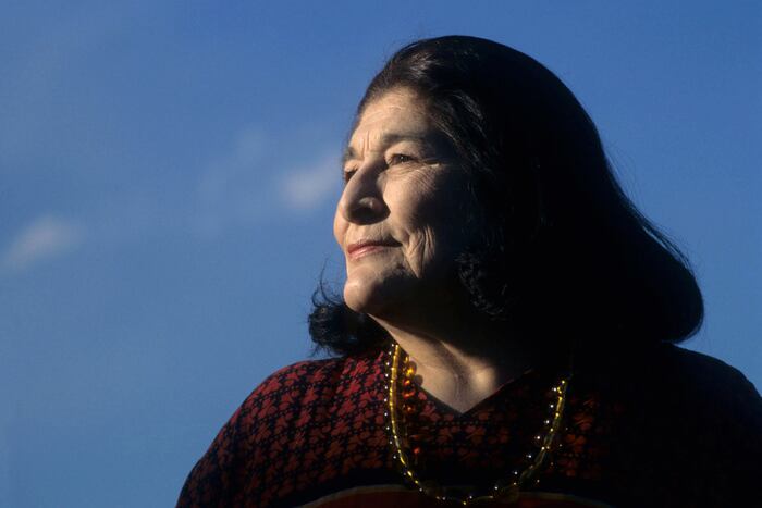 Mercedes Sosa, la gran voz de América Latina. Imagen: Eduardo Grossman. 