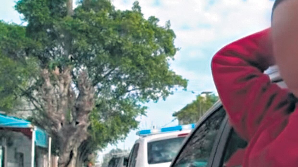 Nora Carballa dijo que la entrevista al chico solo la observó a través de una ventana del jardín.