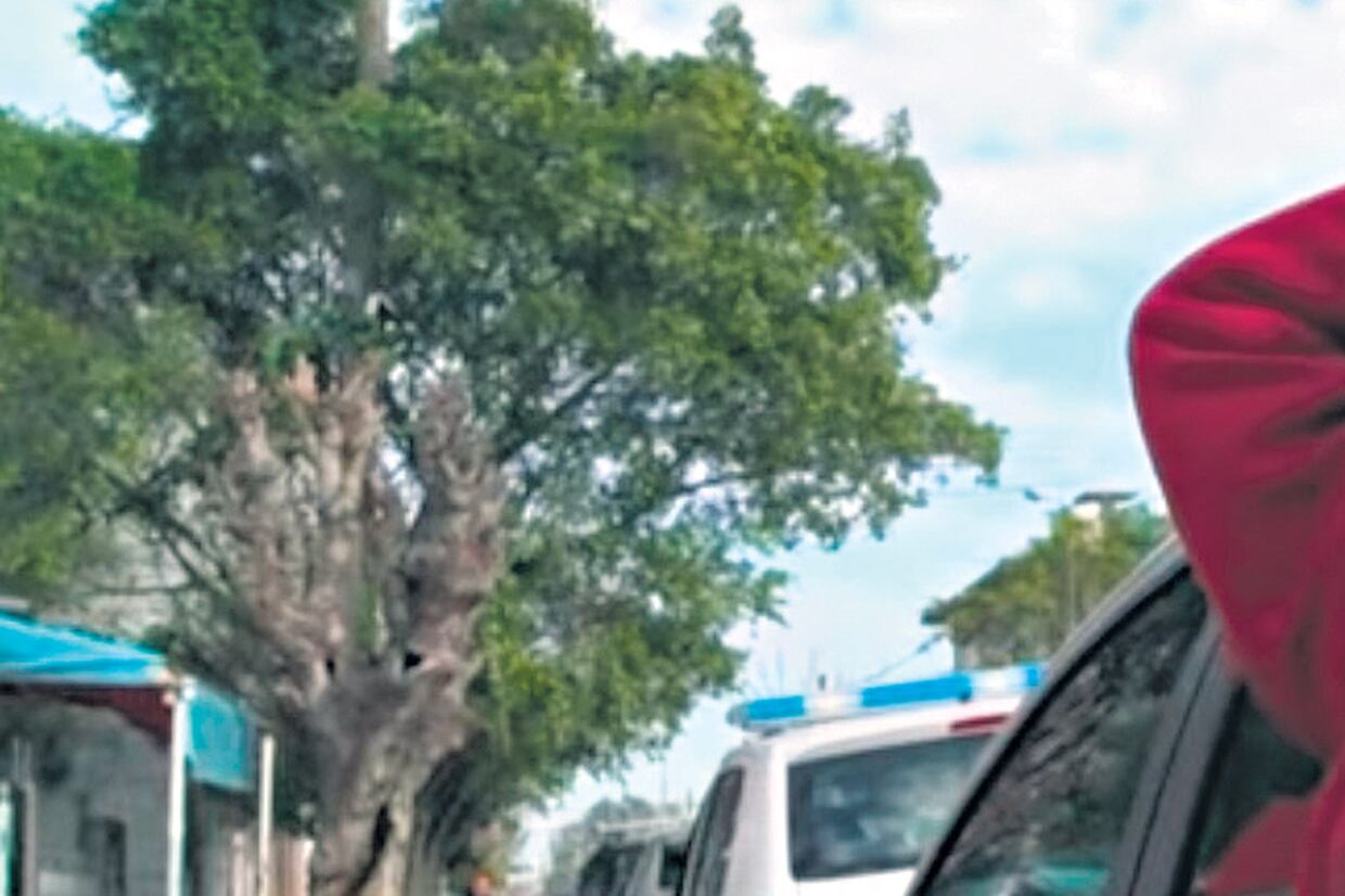 Nora Carballa dijo que la entrevista al chico solo la observó a través de una ventana del jardín.