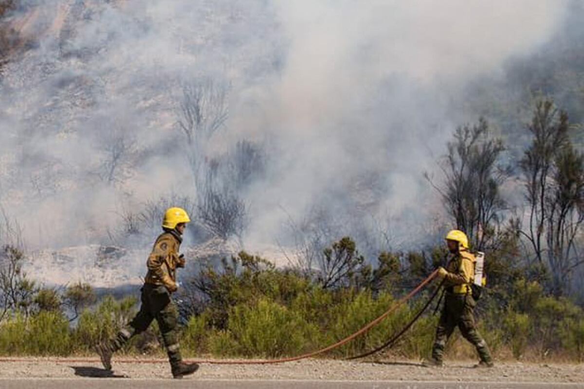 El incendio arrasó miles de hectáreas y preocupan las altas temperaturas.