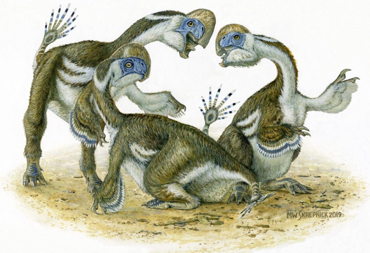 Los dinosaurios similares a los loros fueron hallados en el desierto de Gobi.