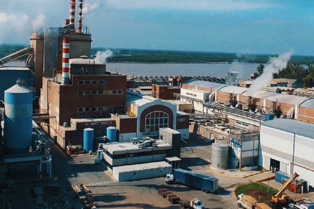 La deuda de la papelera alcanza los 128 millones de dólares.