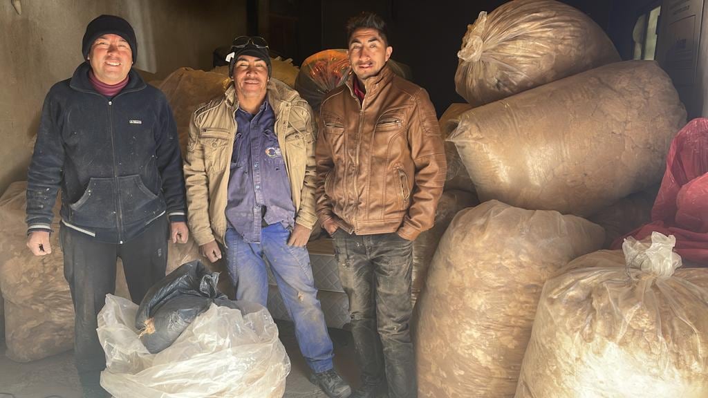 Cooperativa Fuerza de Trabajo.