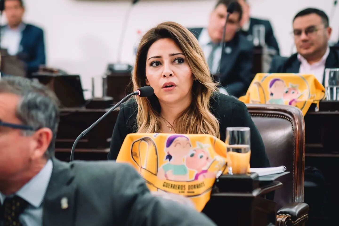 Diputada, Lourdes Ortiz.