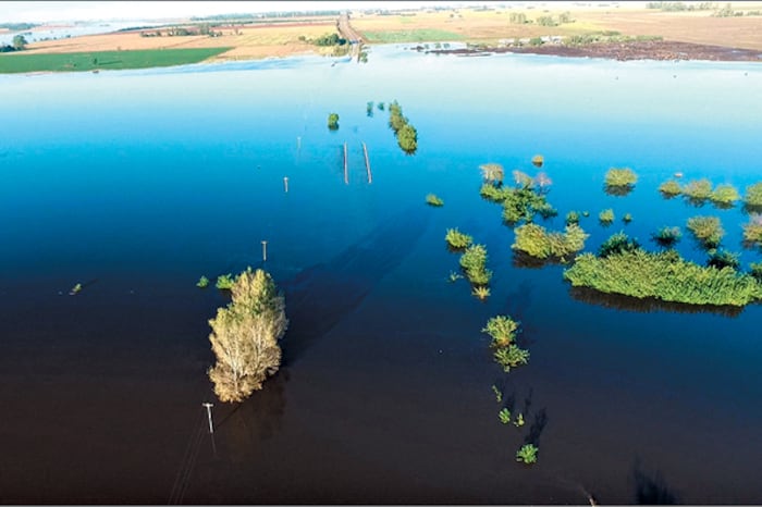 La inundación deja la marca del maltrato de la tierra por parte del agronegocio.