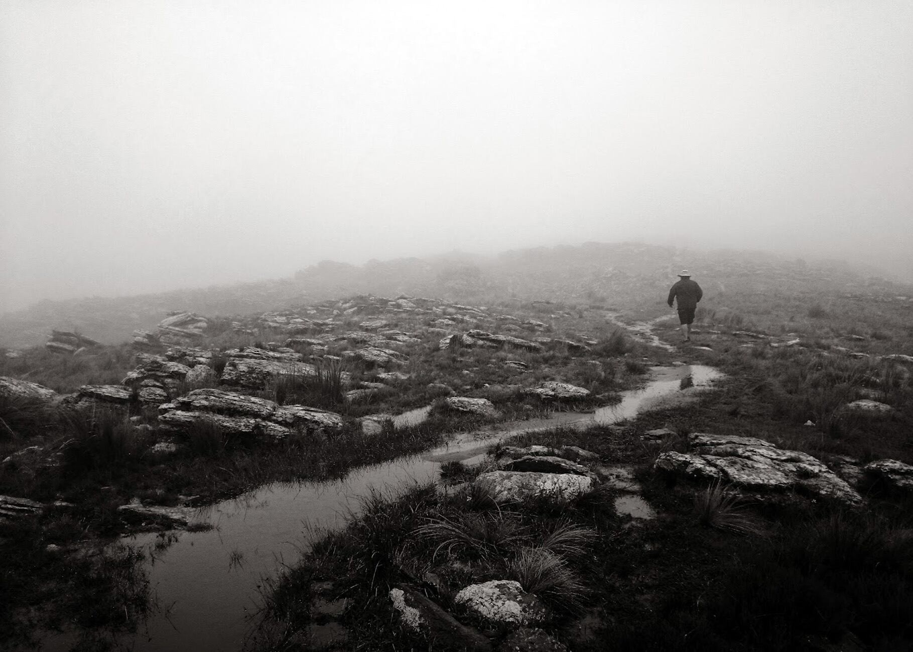 Gentileza Miguel Cantallops