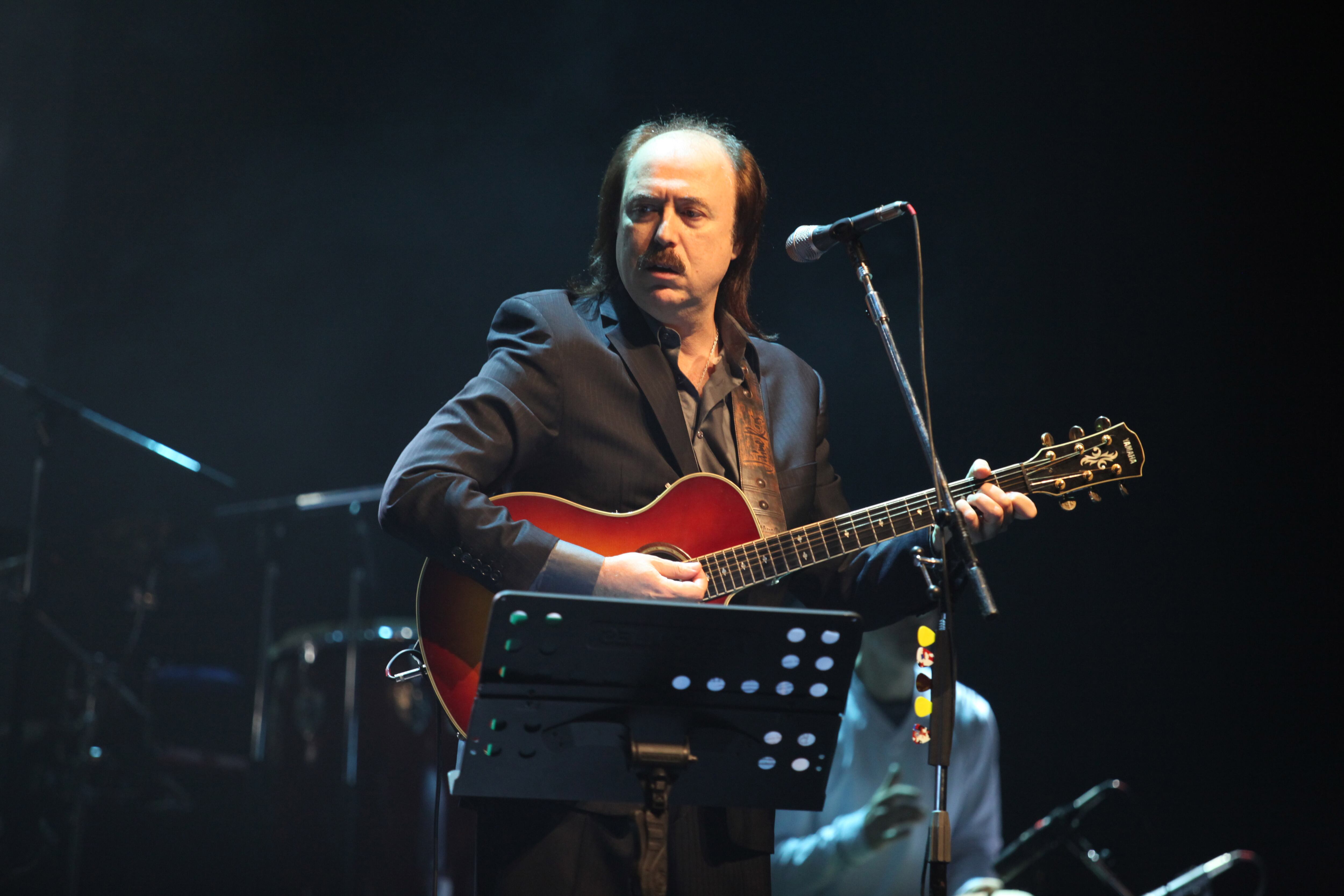 Roos volvió a trabajar en los veinte álbumes que conforman su obra.