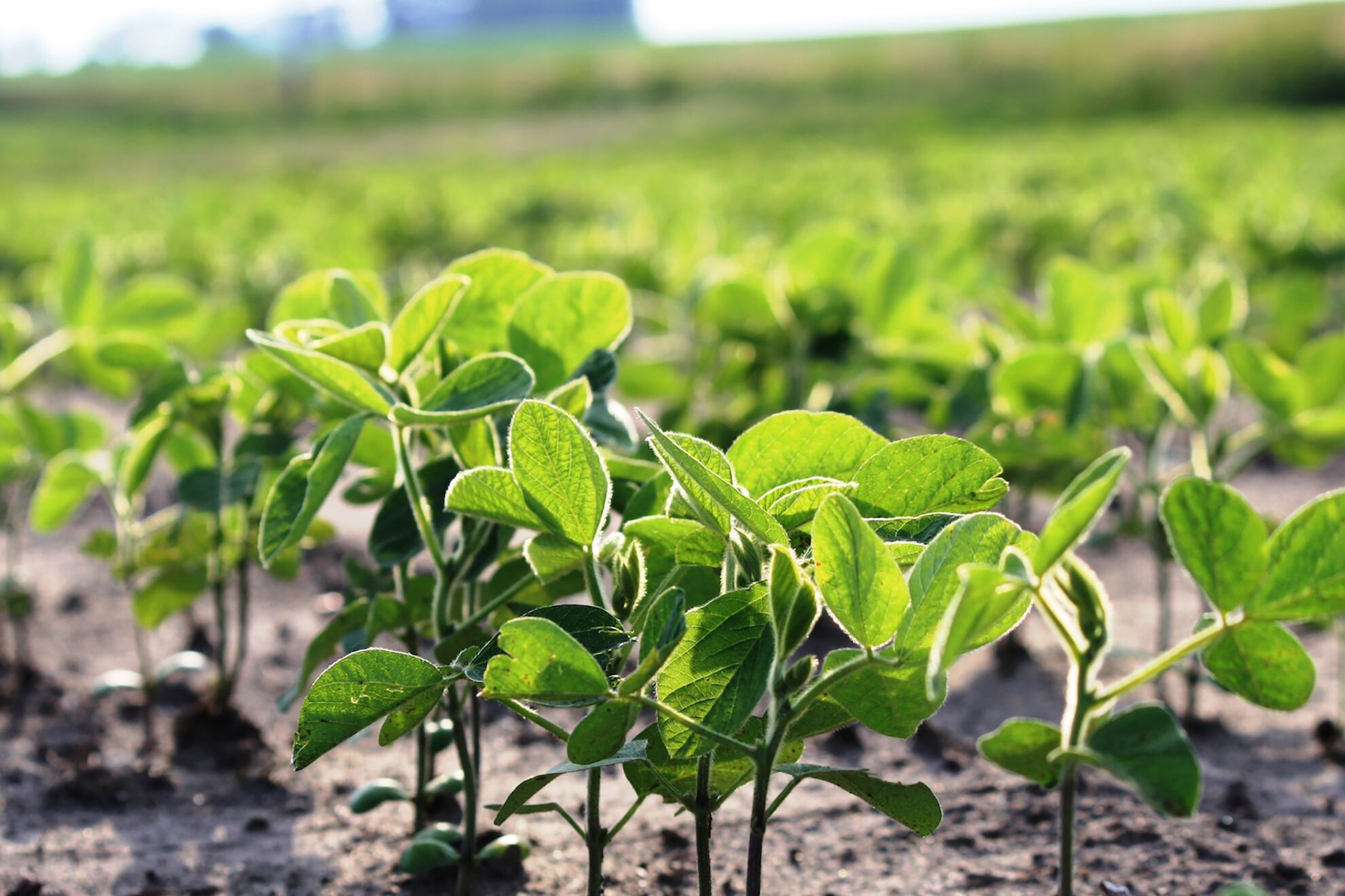 El Gobierno también lanzó un plan de pagos para deudas con la seguridad social.