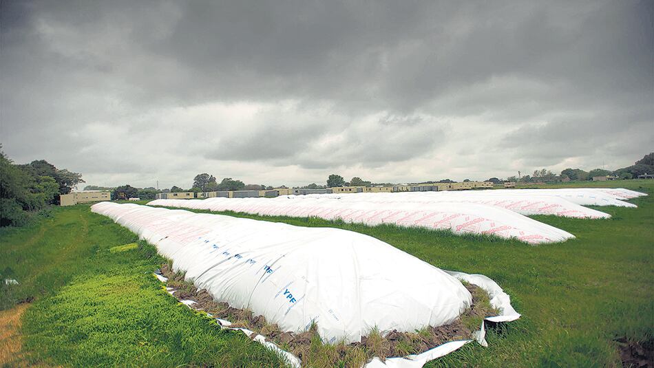 El ingreso de divisas de Ciari y CEC durante marzo quedó en 1423 millones, 14,9 menos que hace un año.