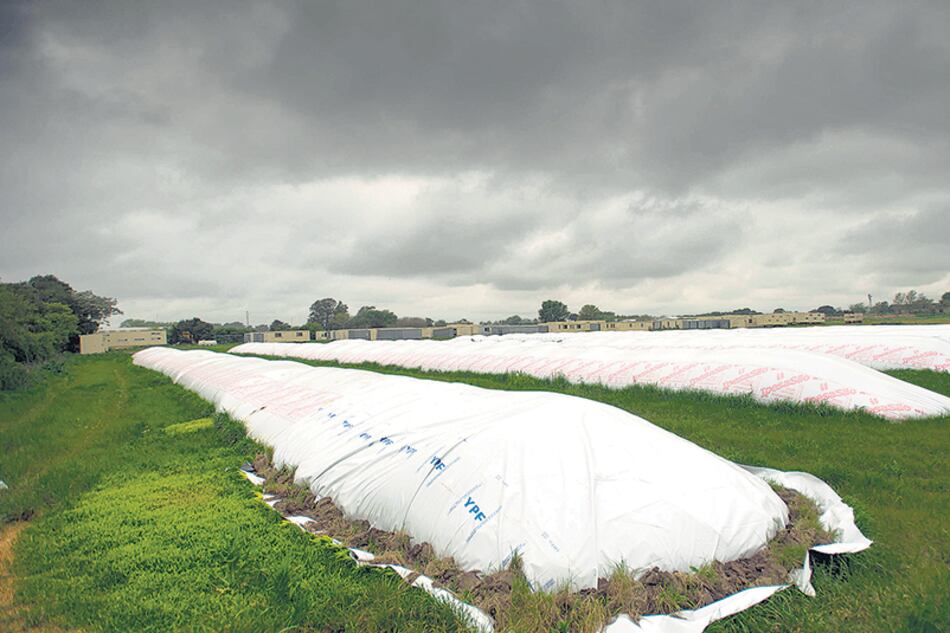 El ingreso de divisas de Ciari y CEC durante marzo quedó en 1423 millones, 14,9 menos que hace un año.