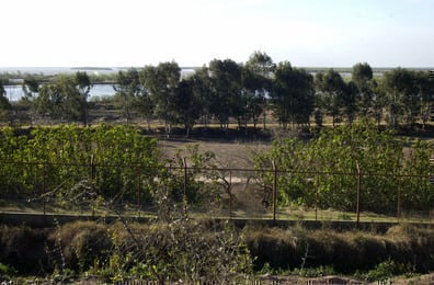 Vigil tenía 34 hectáreas en Villa Gobernador Gálvez, que se vendieron a precio vil.
