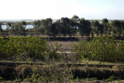 Vigil tenía 34 hectáreas en Villa Gobernador Gálvez, que se vendieron a precio vil.