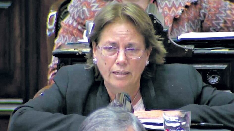 La diputada Paula Urroz presentó más de cien proyectos desde diciembre de 2015.