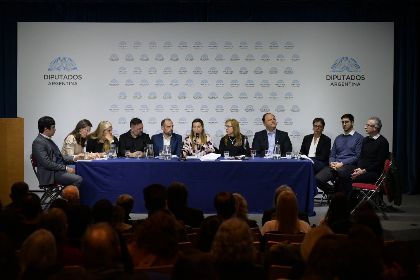 Referentes de la salud mental exponiendo en el Congreso.