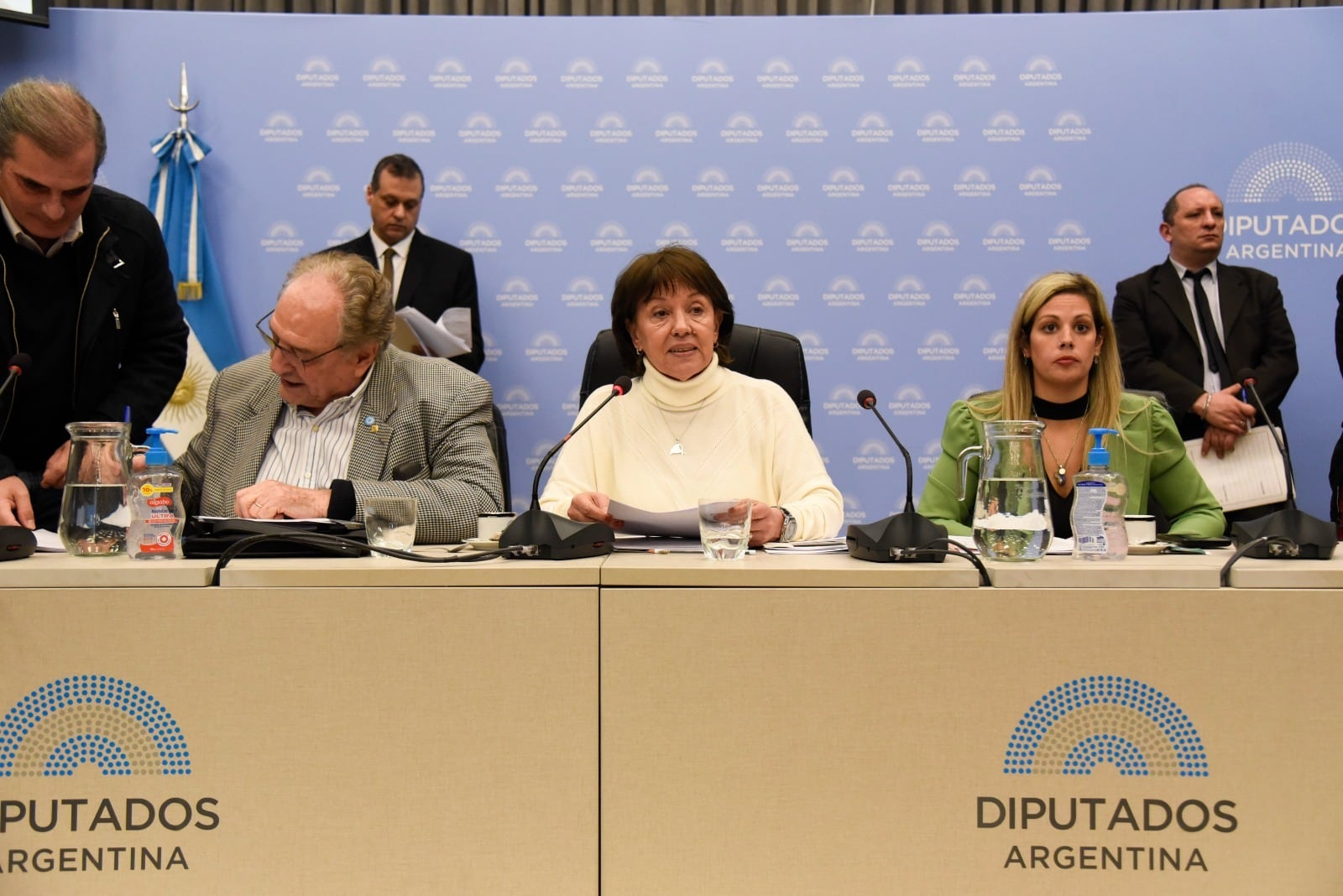 El plenario de comisiones dejó todo listo para que el proyecto se trate en el recinto. 