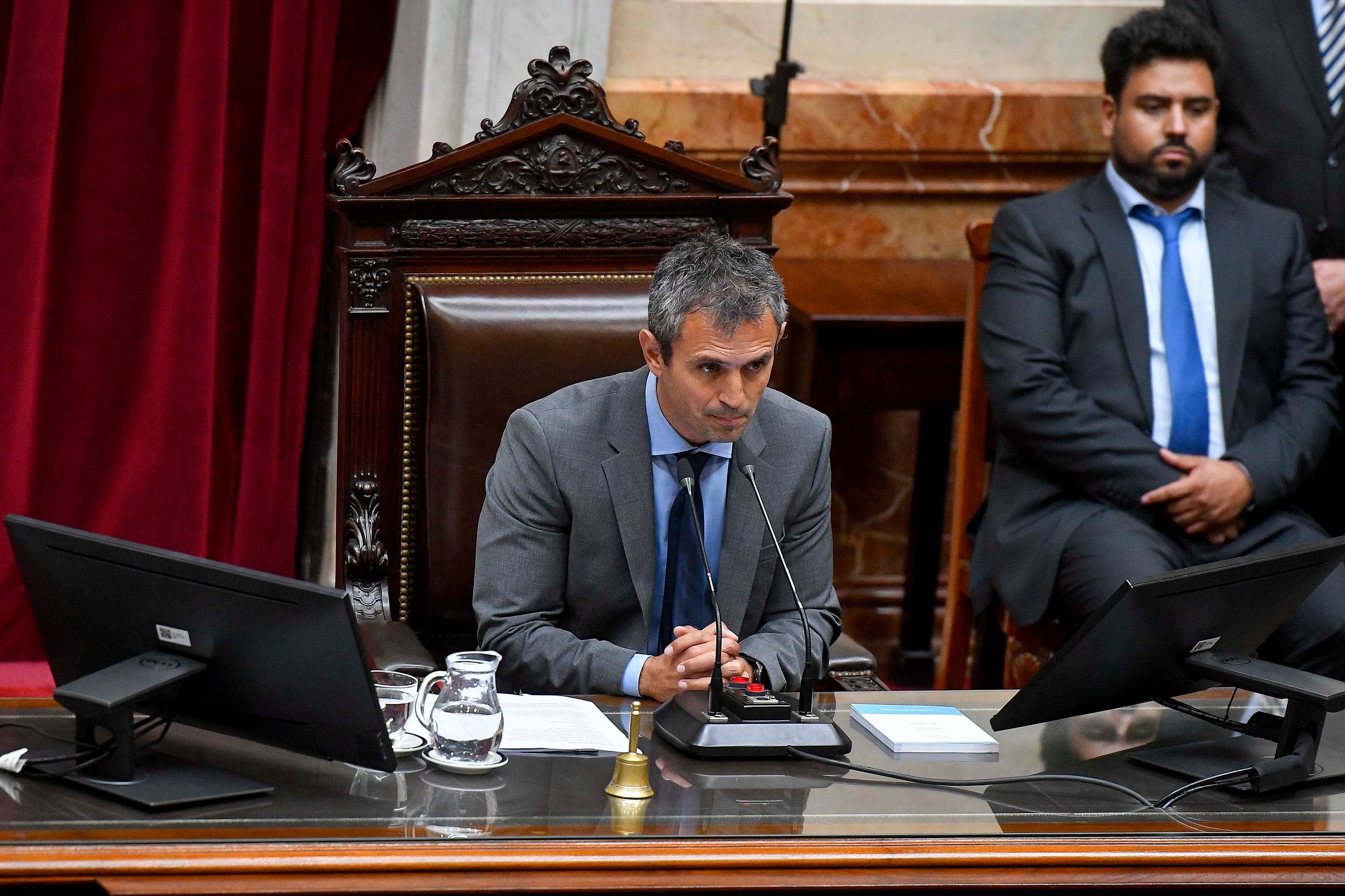 Martín Menem, presidente de la Cámara de Diputados.