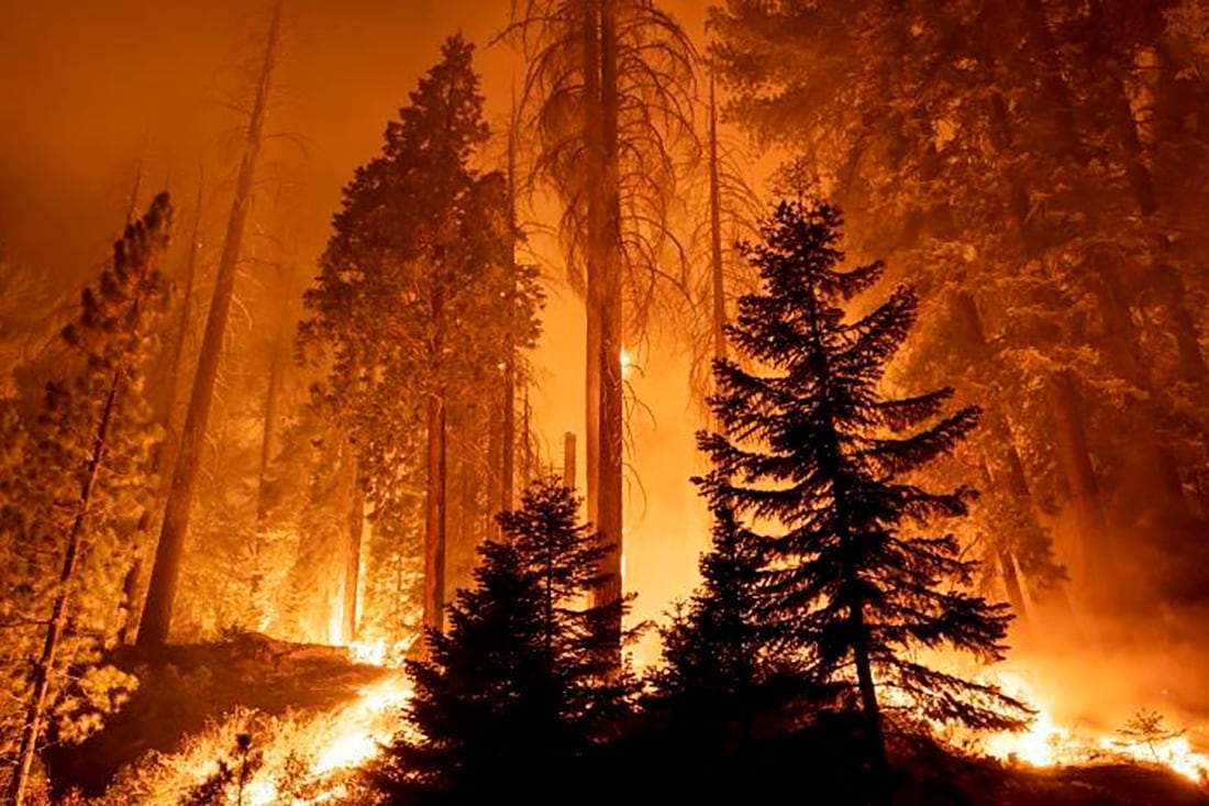 El incendio Park está fuera de control