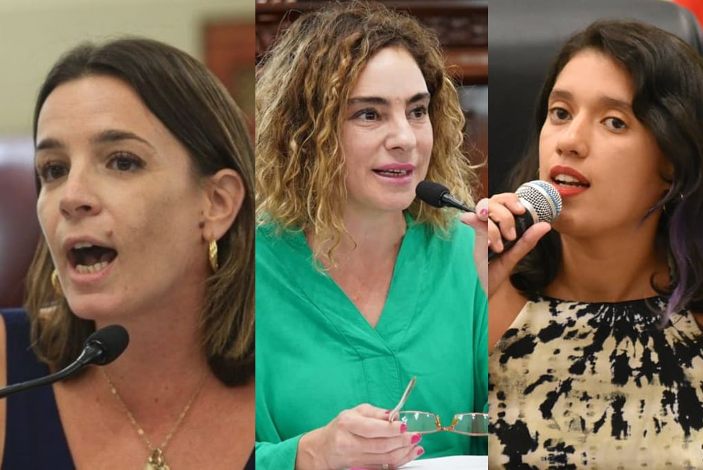 De Ponti, Peralta y Donnet participaron de la reunión con Patricia Chialvo. 