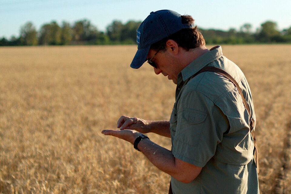 El Agrónomo tiene una puesta en escena sólida.