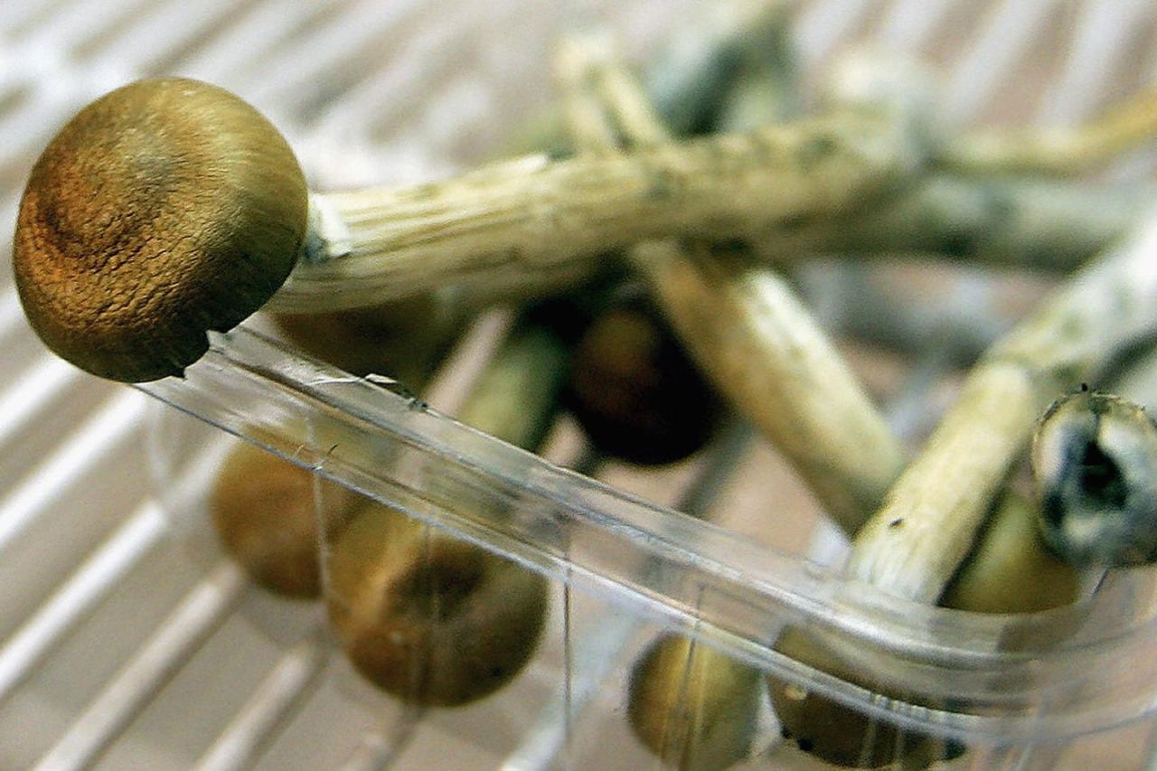 El hombre que se inyectó hongos tiene 30 años, es depresivo y tiene un historial de drogas intravenosas.