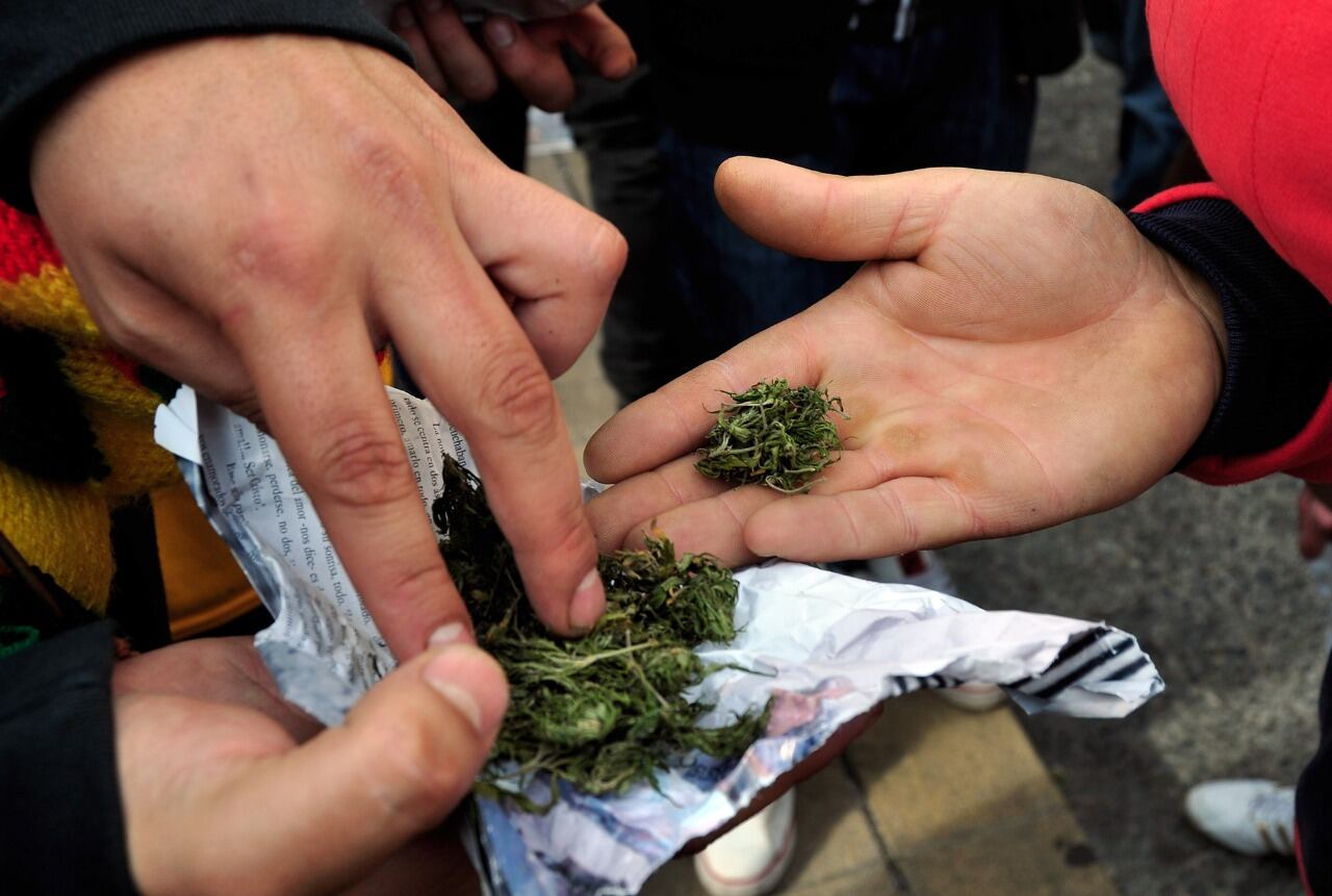 Según un estudio de la Universidad de Düsseldorf, la legalización del cannabis aportaría al estado alemán unos ingresos adicionales de 4.700 millones de euros.