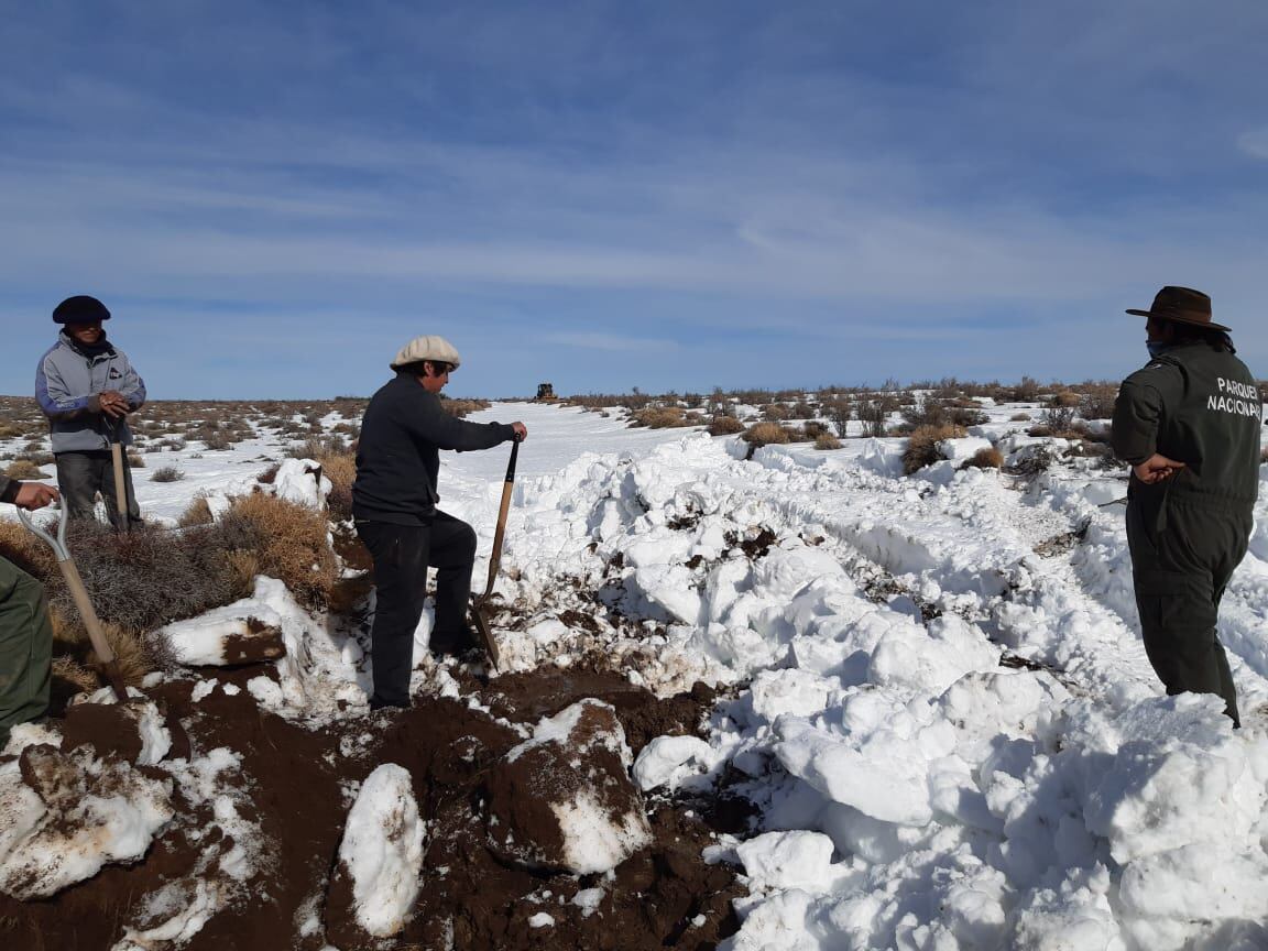 Para la historiadora Pilar Pérez, el escenario en Mascardi, “presentó un conflicto que absorbió la atención mediática, en detrimento de otro real problema que tiene la población mapuche en la Línea Sur, las condiciones de vida tan precarias”.