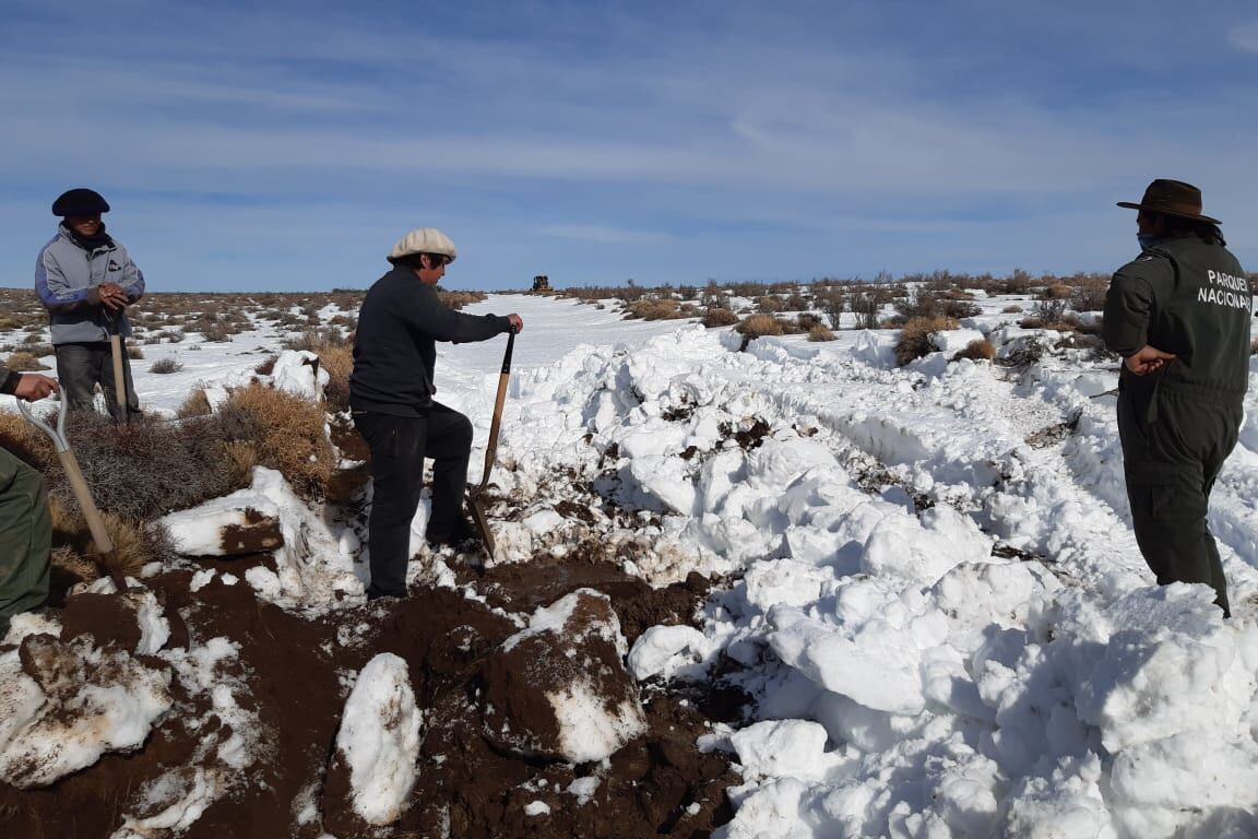Para la historiadora Pilar Pérez, el escenario en Mascardi, “presentó un conflicto que absorbió la atención mediática, en detrimento de otro real problema que tiene la población mapuche en la Línea Sur, las condiciones de vida tan precarias”.