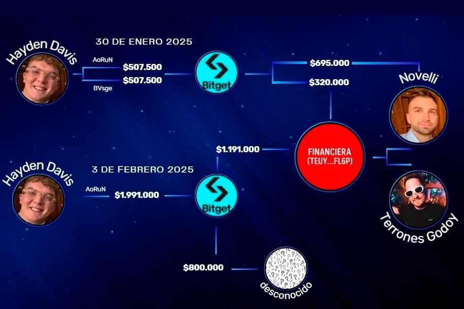En el gráfico presentado ante la Justicia se ven los destinos de las transferencias de Davis.