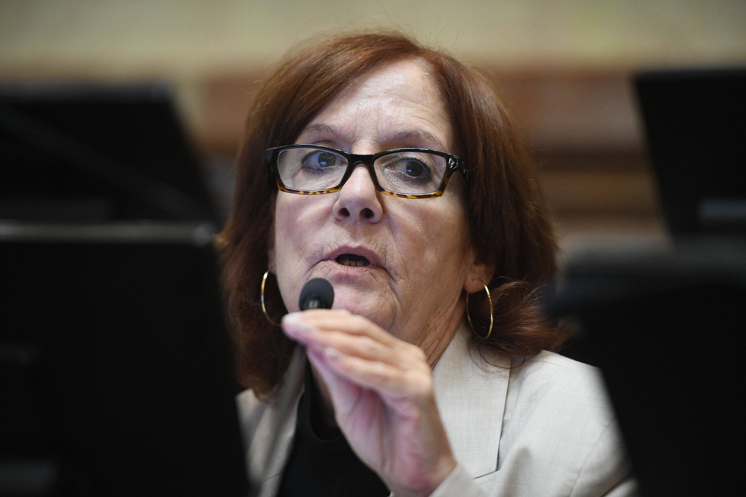 Vigo votó a favor de la expulsión de Kueider pero también reclamó la suspensión de Parrilli.