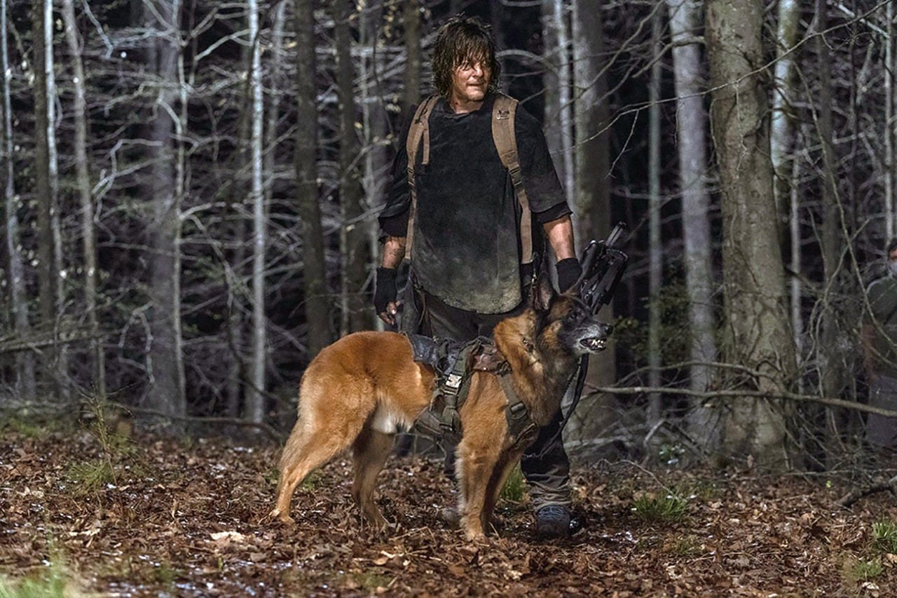 Tras la partida del sheriff Rick Grimes, Daryl tomó cada vez más protagonismo.