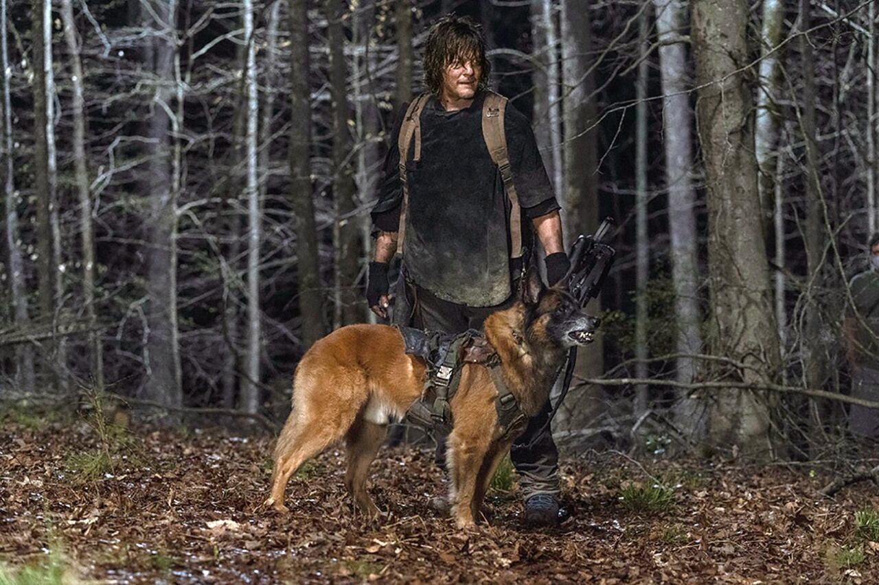 Tras la partida del sheriff Rick Grimes, Daryl tomó cada vez más protagonismo.