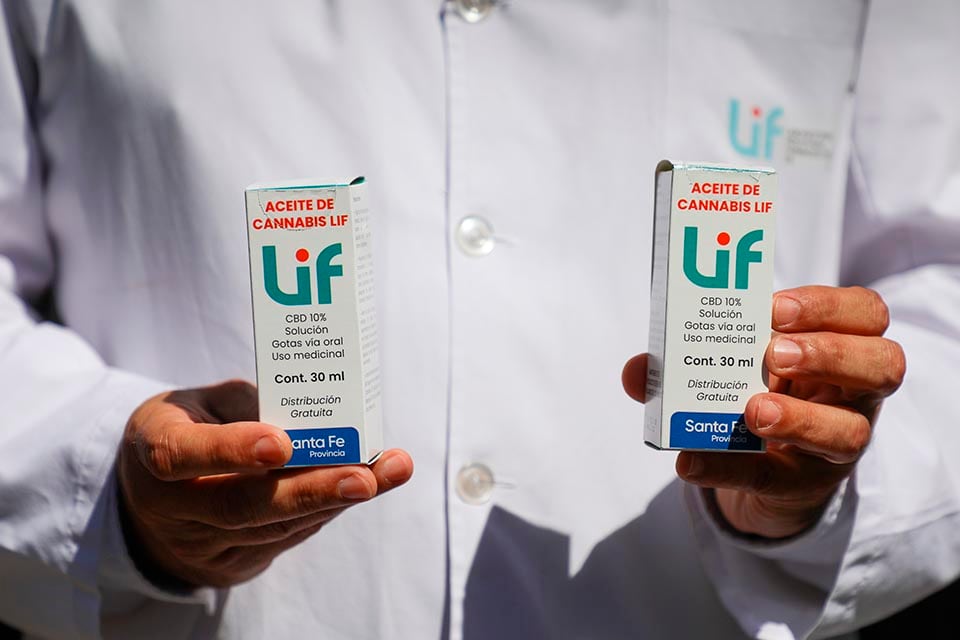 Con producción estatal, apuntan a una participación del estado en toda la cadena de valor del cannabis. 