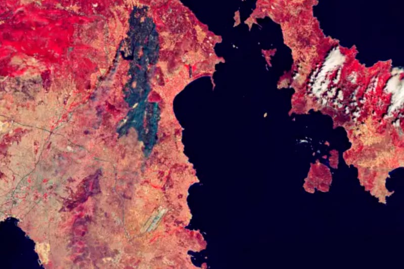 En rojo está la vegetación y las áreas quemadas aparecen en negro