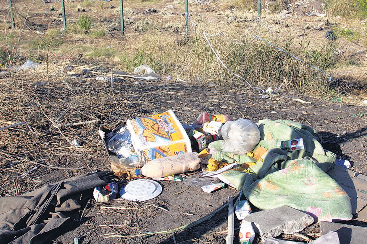 Se necesita un plan nacional serio para impedir la proliferación de los mosquitos transmisores.