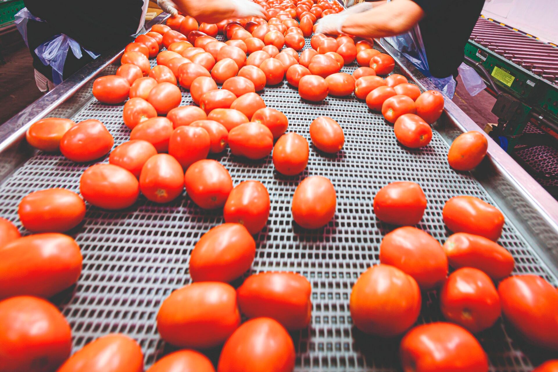 El sector registra un fuerte ingreso de importaciones de China, Chile y Paraguay.