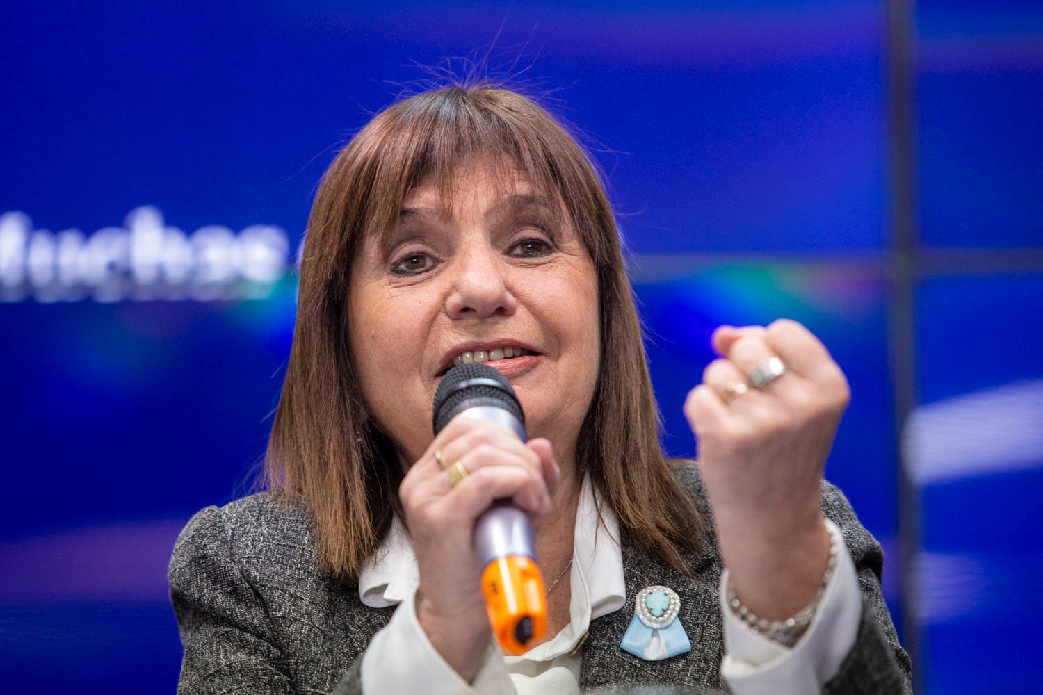 Patricia Bullrich no se decide a formalizar.