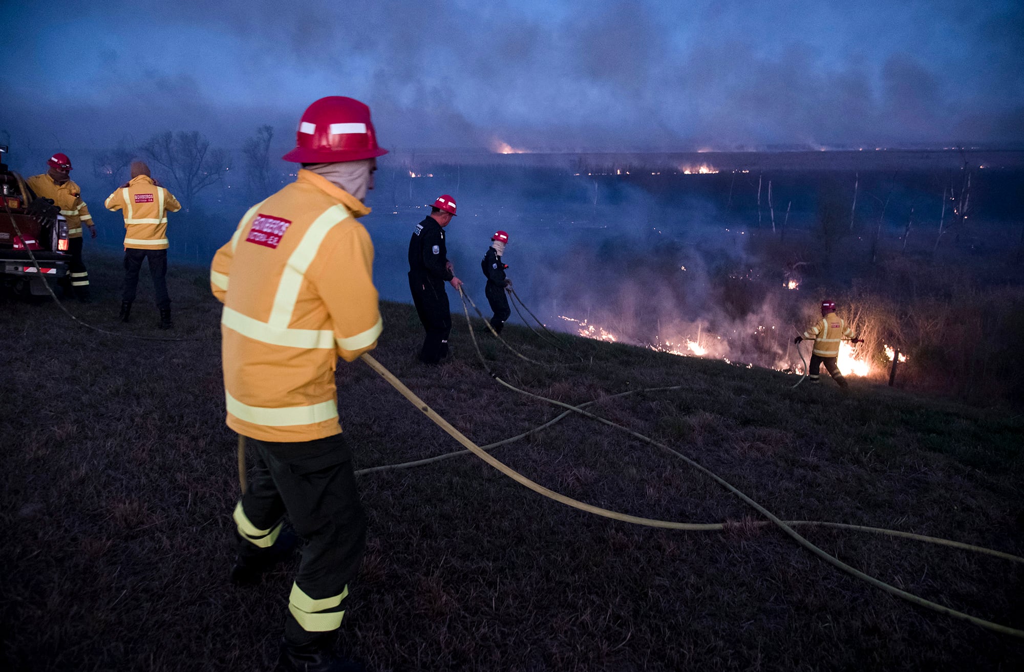 Como ocurrió en las islas del Delta desde 2020, los incencios no son accidentales. 