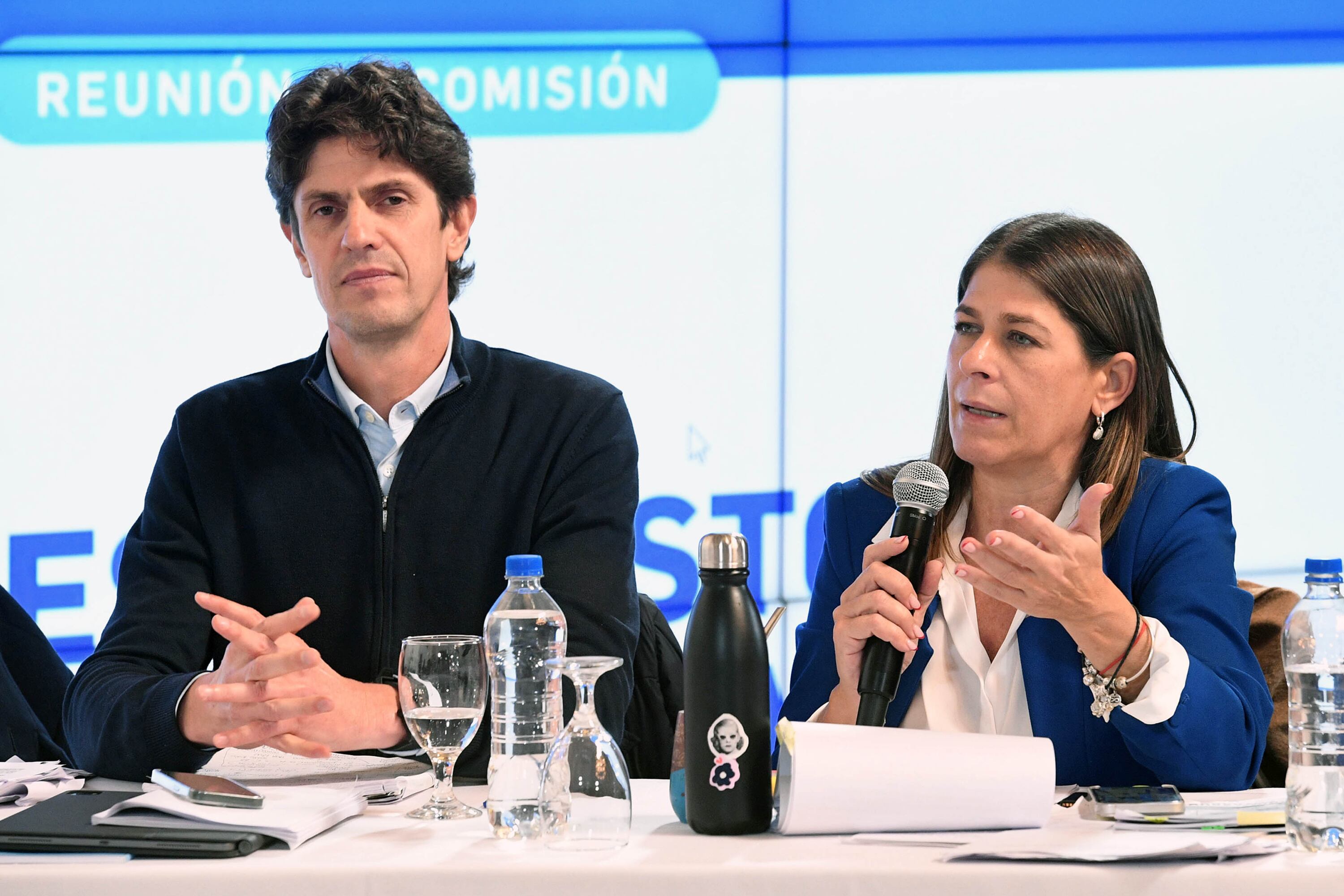 Senadores Martín Lousteau y Guadalupe Tagliaferri.