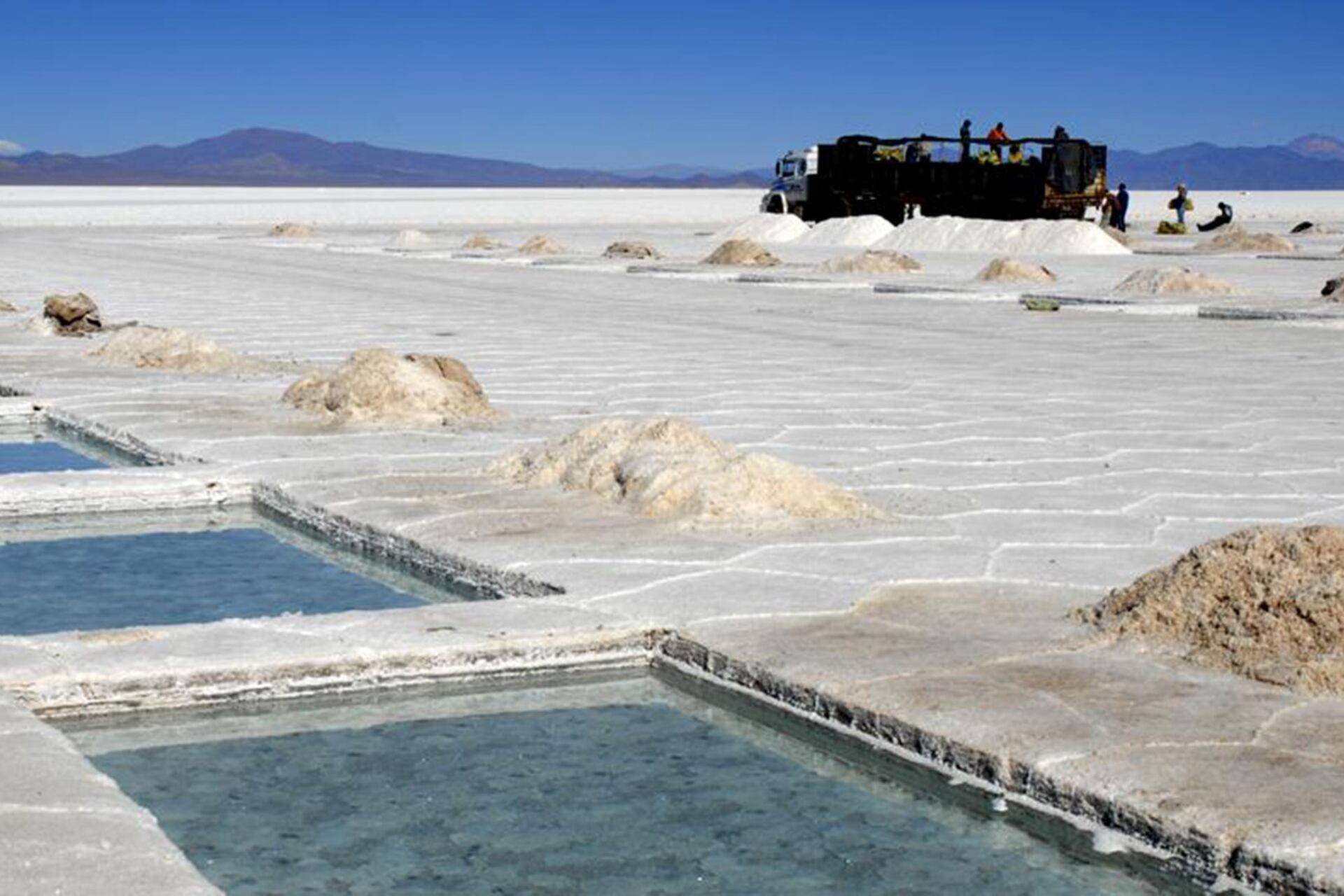 En 2021, los envíos al exterior superaron las 27.000 toneladas por 185 millones de dólares.