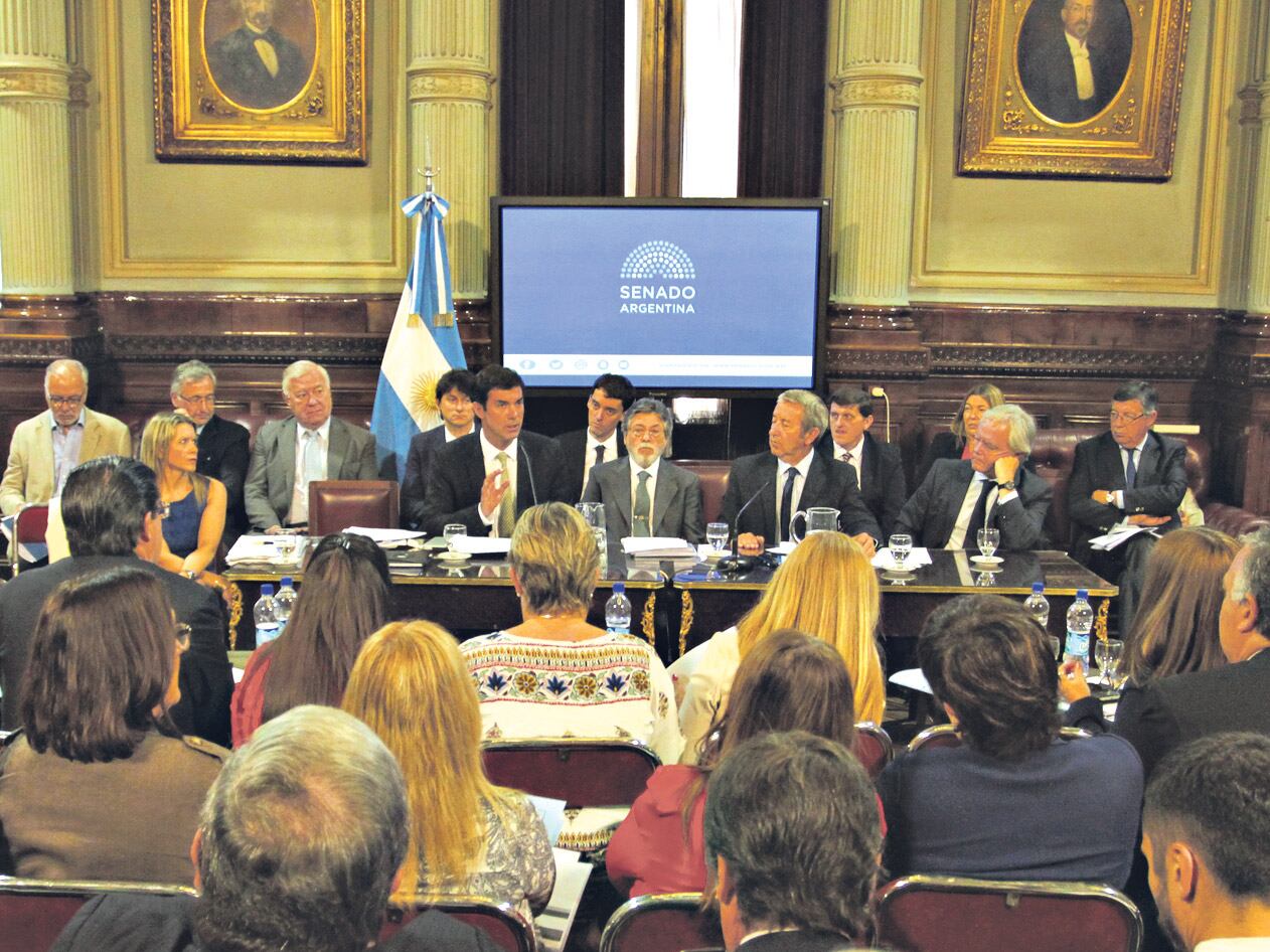 Los gobernadores, como el salteño Juan Manuel Urtubey, y el titular de la AFIP, Alberto Abad, expusieron ayer en la reunión de comisión en el Senado.