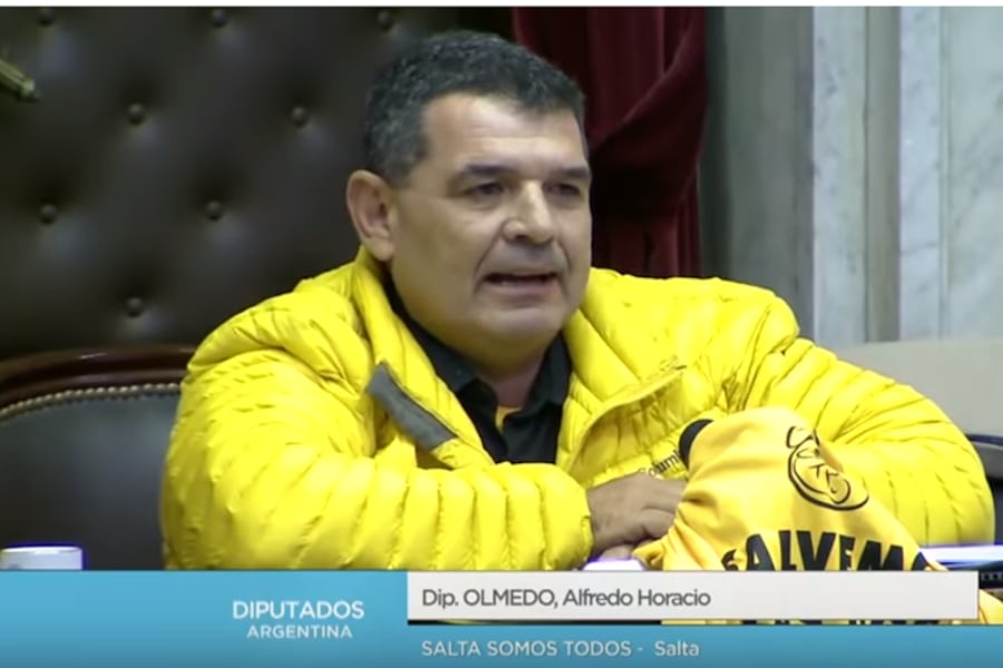 El salteño Olmedo dijo que propondrá "un cementerio para las víctimas de los abortos", en referencia a los embriones.