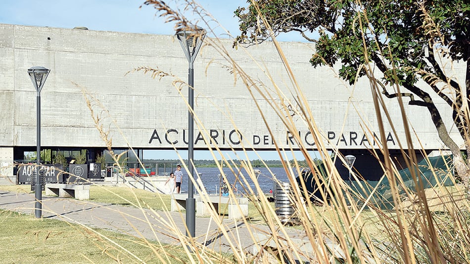 No bien se llega, la explanada que lleva al nuevo acuario permite ver desde la calle el lomo del río por debajo del nuevo edificio.