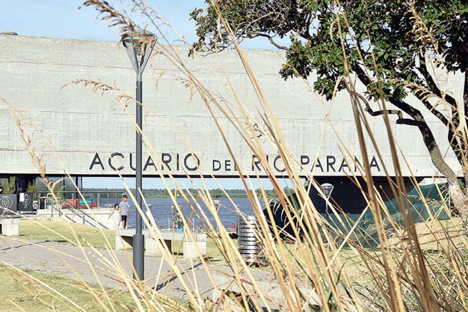 No bien se llega, la explanada que lleva al nuevo acuario permite ver desde la calle el lomo del río por debajo del nuevo edificio.