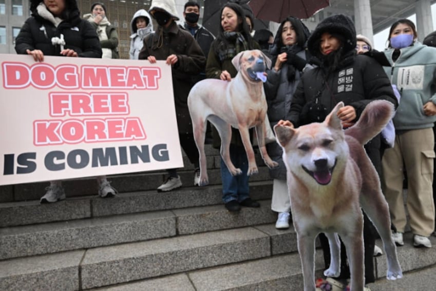 La medida prohíbe la cría, despiece, distribución y venta de perros destinados al consumo de carne