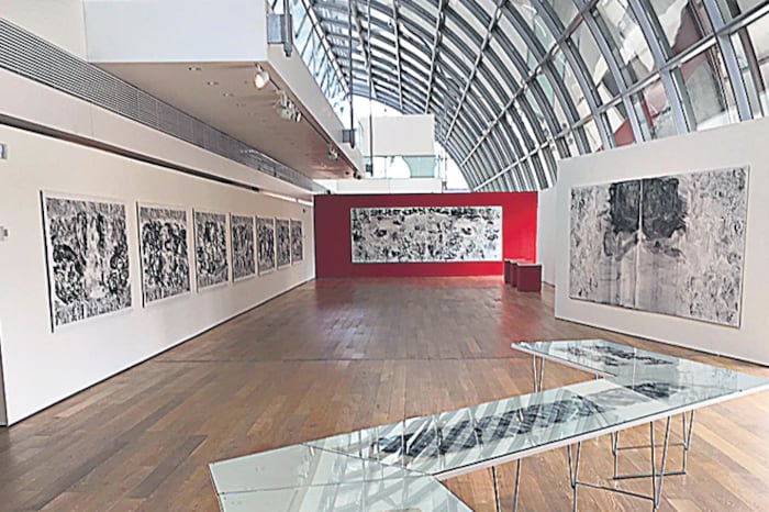 Vista parcial de la muestra de Stupía en la Colección Fortabat.