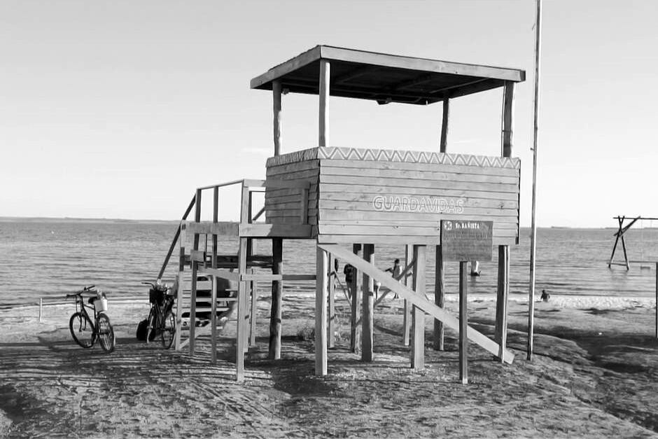 "Devastada", de Matías Jara, ganadora del Premio a la Innovación Artística.