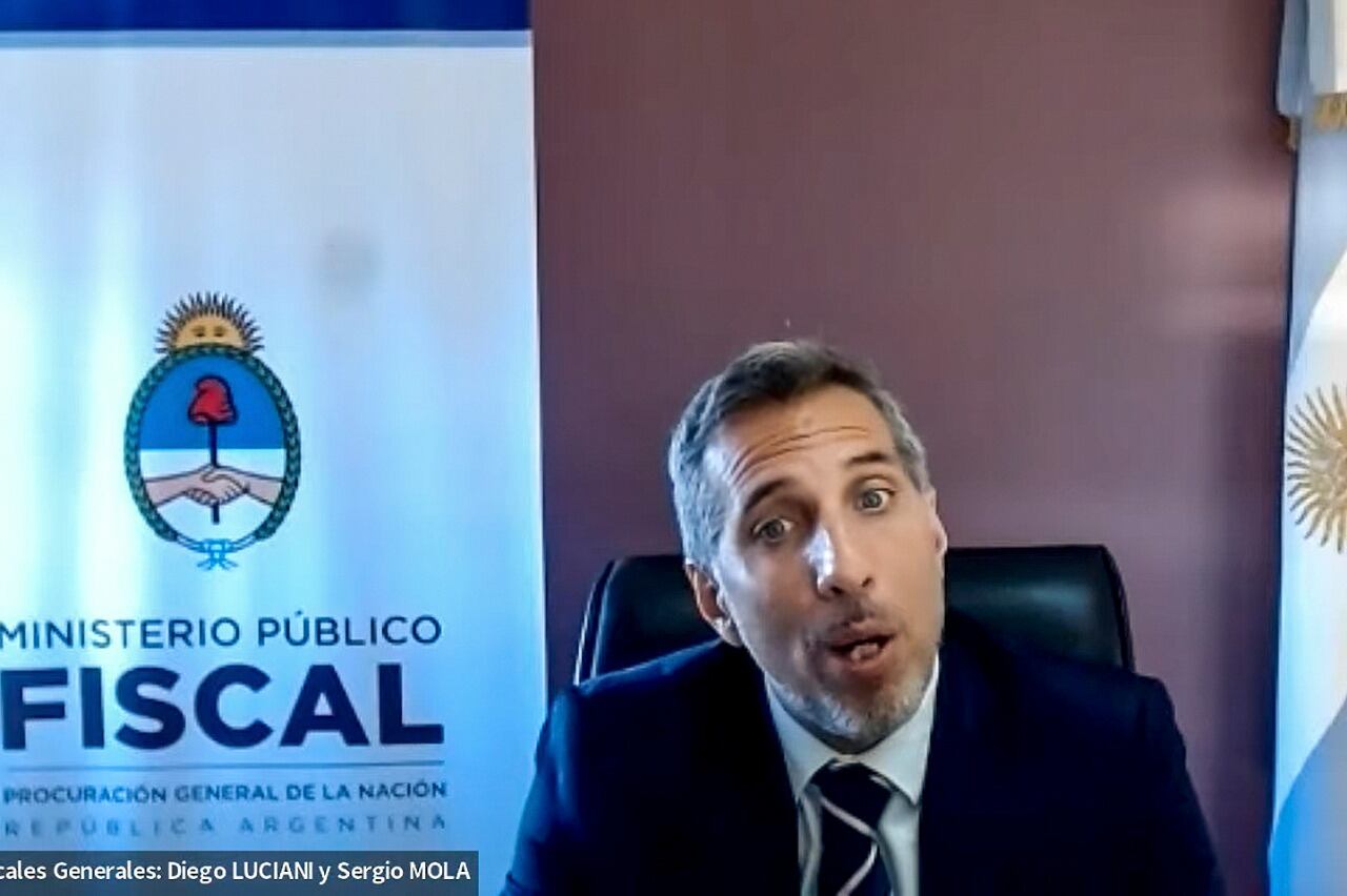 Diego Luciani, fiscal federal