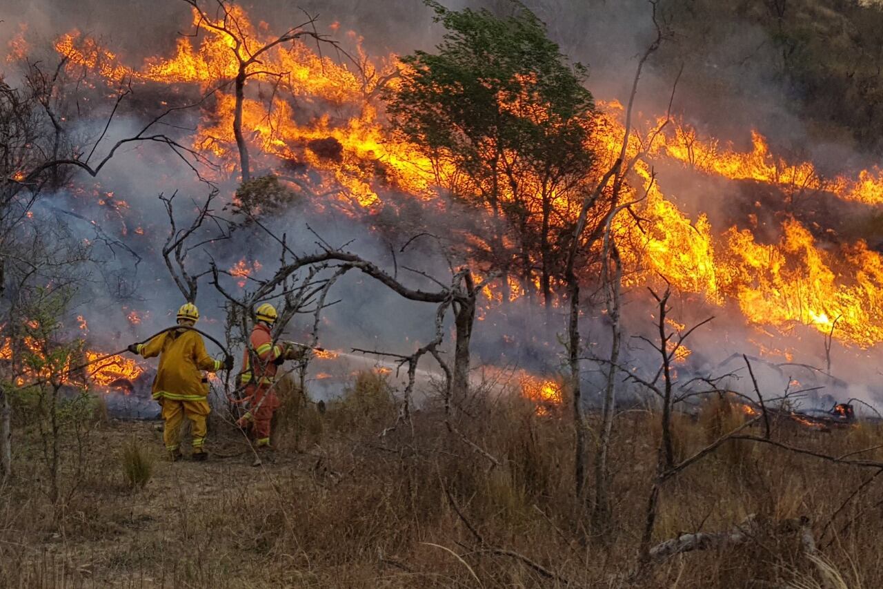 Córdoba vuelve a tener incendios forestales.