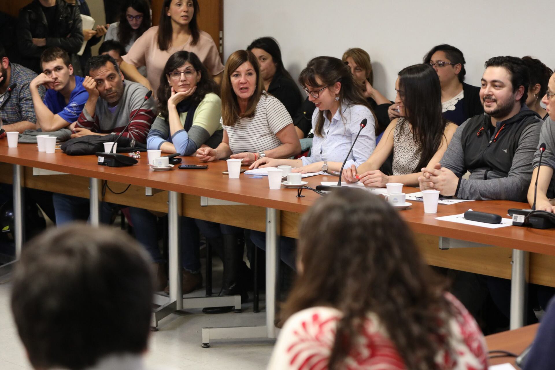 Deudores y especialistas expusieron los casos en una reunión en la Cámara de Diputados.