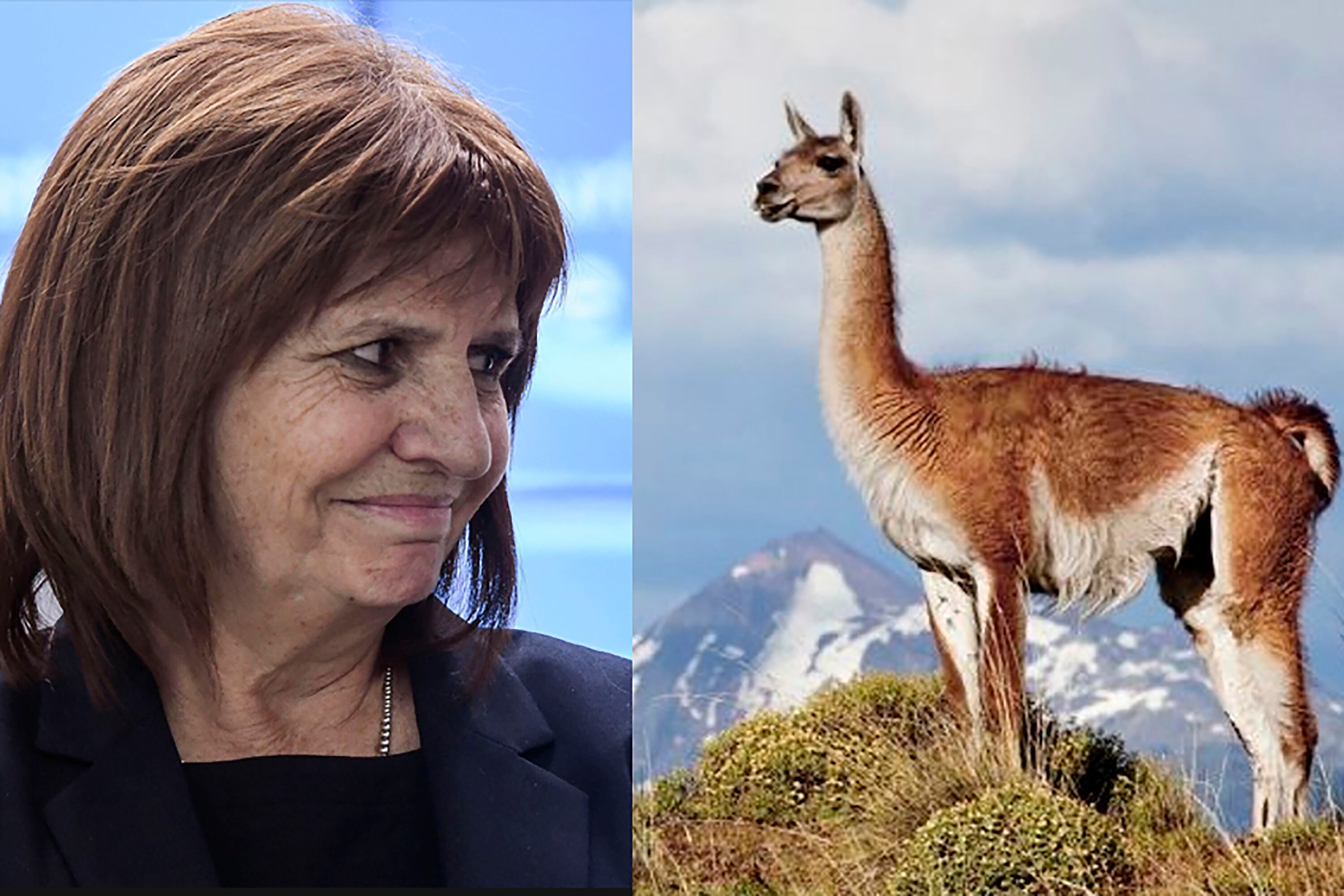 Patricipa Bullrich afirmó que en Chubut hay “una planicie desde la costa hasta la montaña con todo tipo de minerales y no vive nadie, hay nada más que un millón de guanacos”.